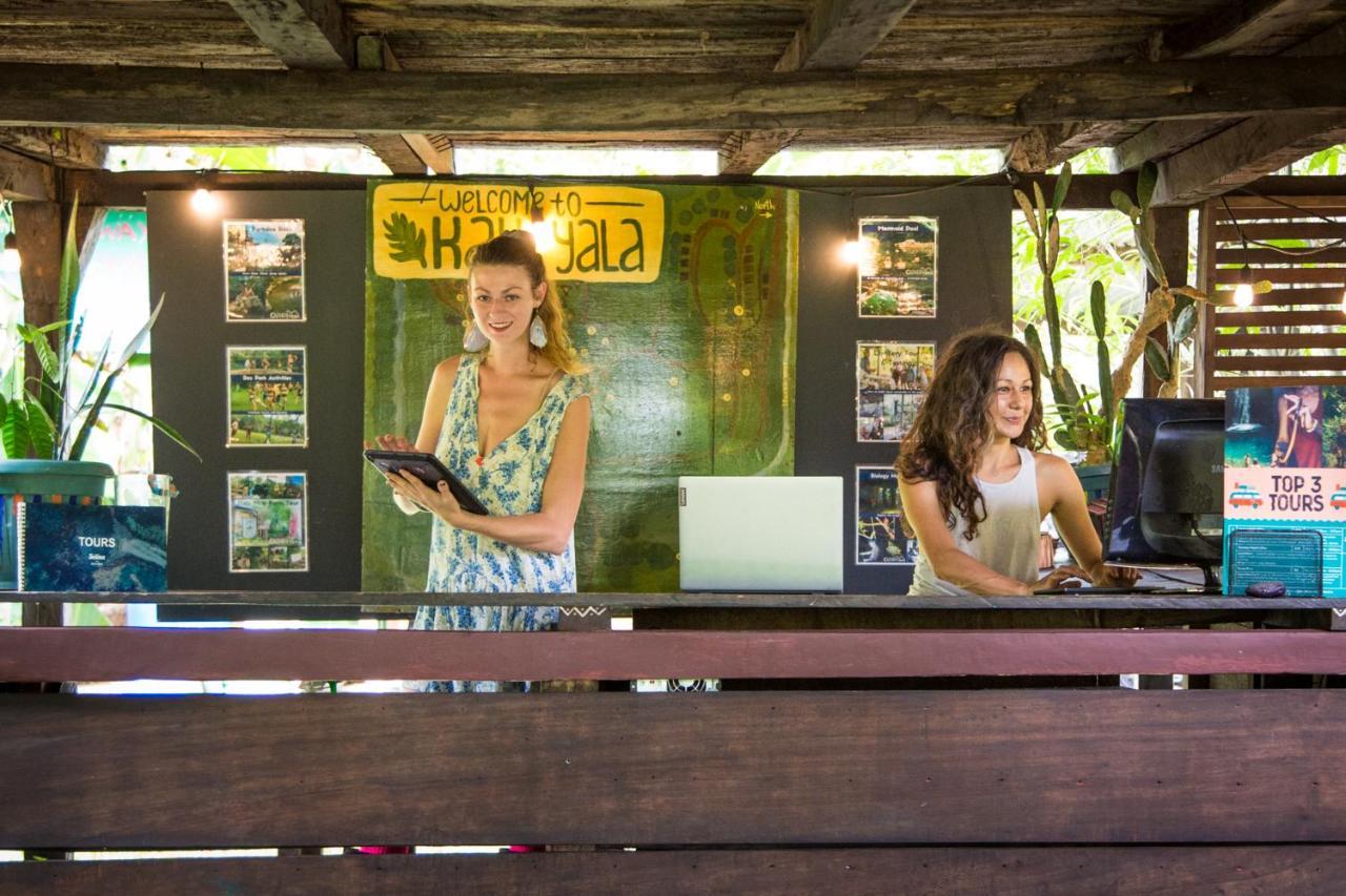The Jungle Lodge At Kalu Yala Panama Zewnętrze zdjęcie