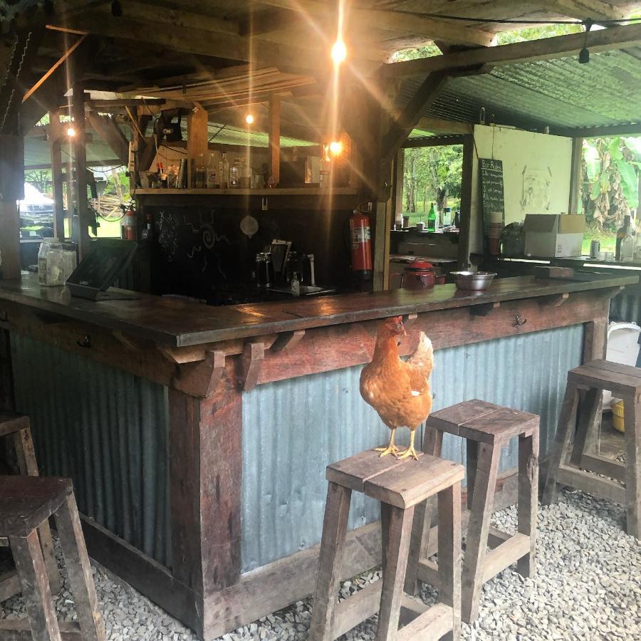 The Jungle Lodge At Kalu Yala Panama Zewnętrze zdjęcie