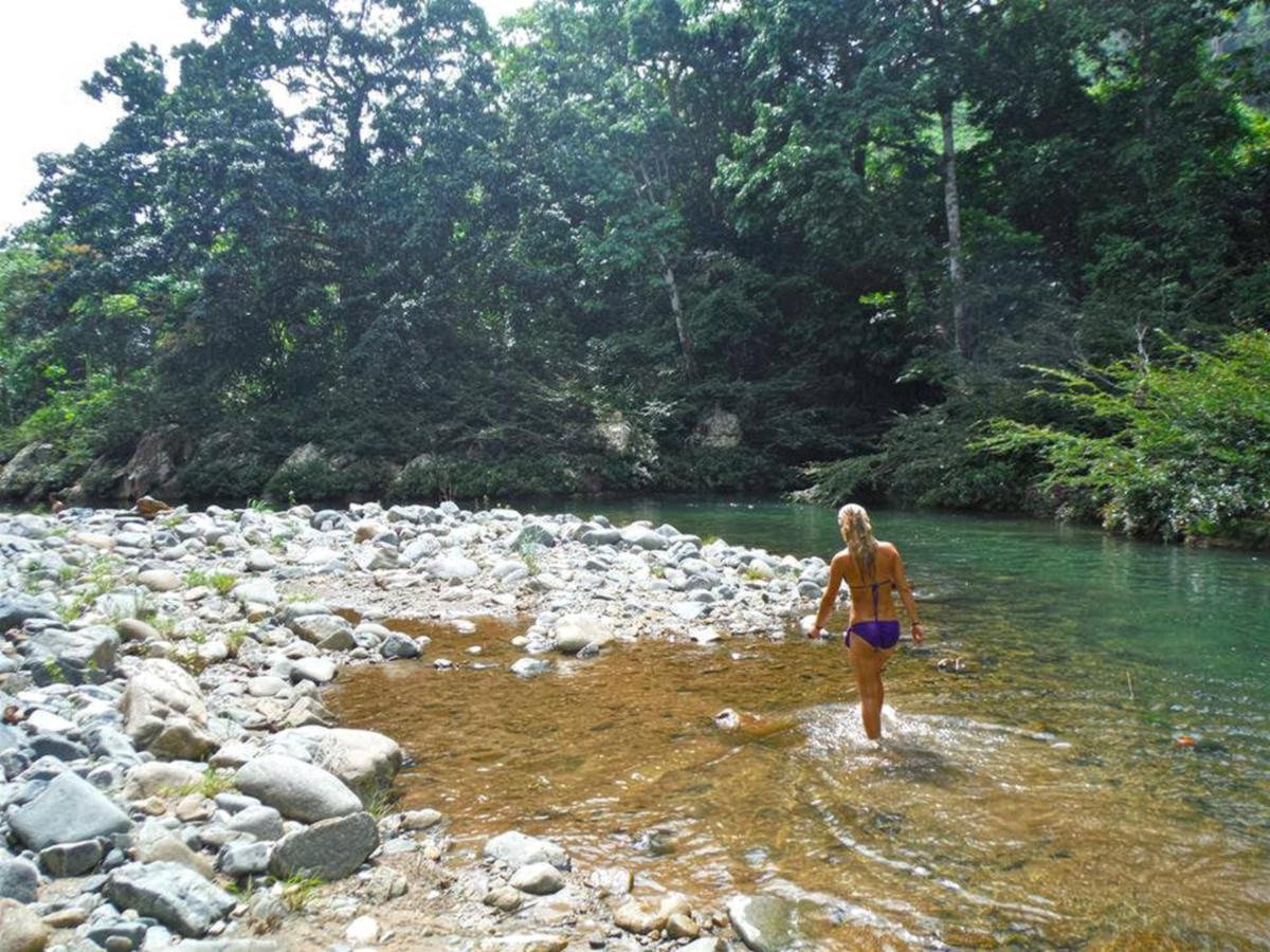The Jungle Lodge At Kalu Yala Panama Zewnętrze zdjęcie